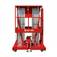 Двухмачтовый подъемник SKYER GTWY6-200 HV Market