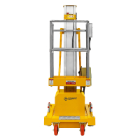 Подъемник мачтовый несамоходный GTWY 10-100 (T) (220В; 125 кг; 10 м) SMARTLIFT HV Market